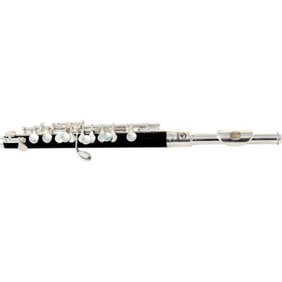 Soundsation SFP-10