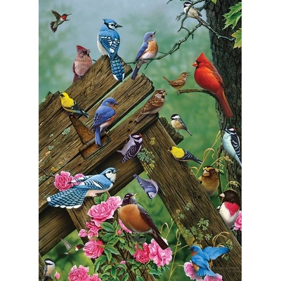 Cobble Hill Birds of the Forest 1000 dielov