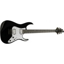 Schecter BANSHEE-6 SGR