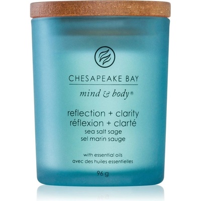 Chesapeake Bay Reflection + Clarity 96 g