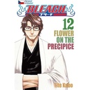 Bleach 12