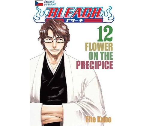 Bleach 12