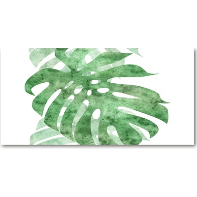 Foto obraz sklo tvrzené Monstera 100x50 cm