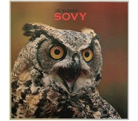 Sovy - Jiří Bednář