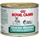 Royal Canin Starter Mousse 6 x 195 g