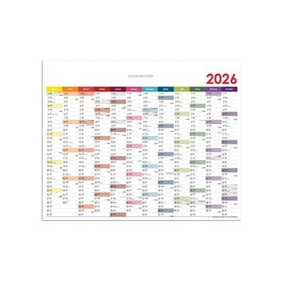Nástěnný Plánovací mapa CZ 100 x 63 cm barevná 2026