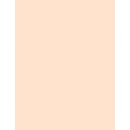 Dermacol BB Magic Beauty Cream make-up Shell 30 ml