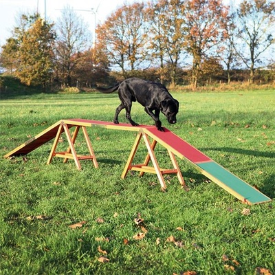 Dog Activity Agility překážka pro psy kladina 456 x 64 x 30 cm – Zbozi.Blesk.cz