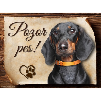Sport hobby Cedulka Jezevčík černý hladkosrstý Pozor pes CP920 20 x 15 cm – Zbozi.Blesk.cz
