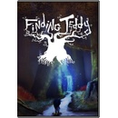 Finding Teddy