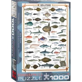 EUROGRAPHICS Пъзел Eurographics от 1000 части - Морска риба (EG60000313)