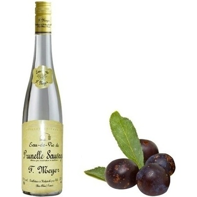 F. Meyer Prunelle Eau-de-Vie 45% 0,7 l (čistá fľaša)