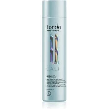 Image 1 of Londa Professional Calm нежен шампоан за чувствителна кожа на скалпа 250ml