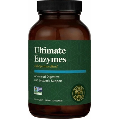 Global Healing Ultimátne enzýmy trávenie a imunita 120 kapsúl
