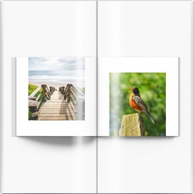 Fotokniha, Váš prázdninový projekt, 25x25 cm - 317056