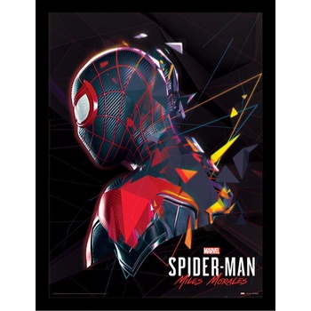 PBM Express Zarámovaný plakát Spider-Man - Miles Morales System Shock