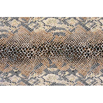 DIMEX ART s. r. o Флизелинов фототапет змийска текстура 375 x 250 см