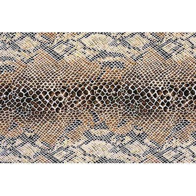 DIMEX ART Флизелинов фототапет змийска текстура 375 x 250 см