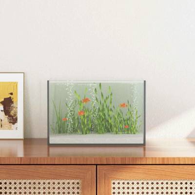 VidaXL akvárium s úložištěm průhledné 30 x 20 x 20 cm sklo 9799.42020379