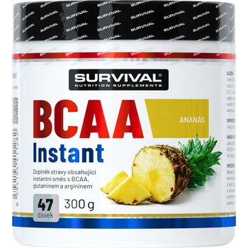 Survival BCAA Instant 300 g