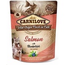 Carnilove Puppy salmon & blueberries 300 g