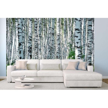 DIMEX ART s. r. o Самозалепваща се флизелинова фототапета летен ден в брезова горичка 375 x 250 см