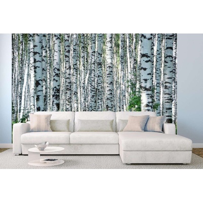 DIMEX ART Самозалепваща се флизелинова фототапета летен ден в брезова горичка 375 x 250 см