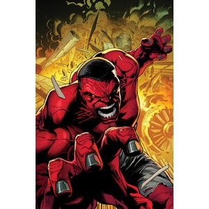 Red Hulk Vol. 1 | V01 (ISBN: 9781302959265)