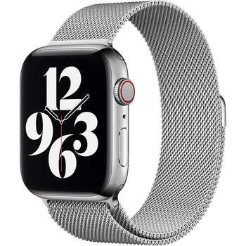 Eternico Elegance Milanese na Apple Watch 38 mm/40 mm/41 mm silver AET-AWMNS-si-38