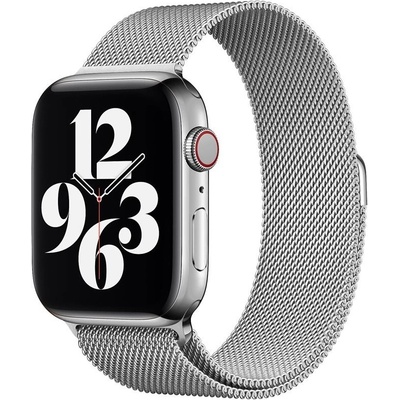 Eternico Elegance Milanese na Apple Watch 38 mm/40 mm/41 mm silver AET-AWMNS-si-38