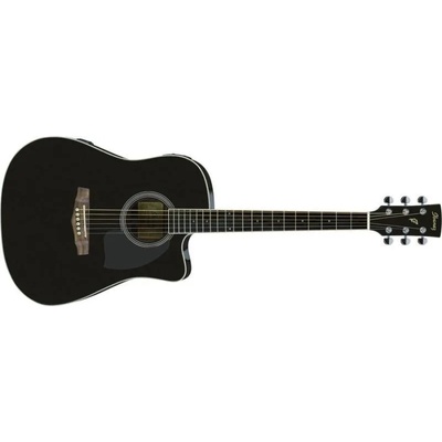 Ibanez PF15ECE-BK
