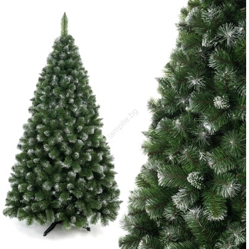 ELMA Коледна борова елха на стъбло, височина 180 см (ea0051)