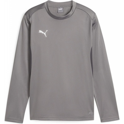 Puma teamGOAL Training Sweat Jr 658651-13