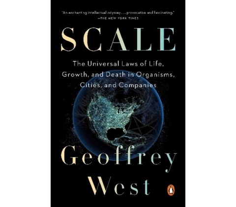 Kniha Scale