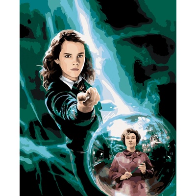 ZUTY Malování podle čísel PLAKÁT HARRY POTTER A FÉNIXŮV ŘÁD HERMIONA Rozměr 40 x 50 cm Rámování vypnuté plátno na rám