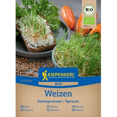 KIEPENKERL BIO Pšenice Triticum aestivum ke klíčení 75 g