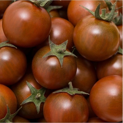 BIO Rajče černé Cherry - Solanum lycopersicum - prodej bio semen - 6 ks