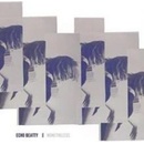 ECHO BEATTY: NONETHELESS HQ LP