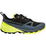 Dynafit Traverse 2 Gtx Размер на обувките (ЕС): 43 / Цвят: черен