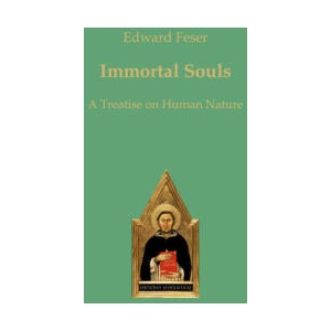 Immortal Souls (ISBN: 9783868386059)