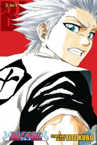 Bleach Kubo TitePaperback