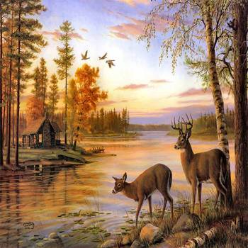 Image 1 of Norimpex - Puzzle Diamant painting: Deer in the lake 30x40cm - 1 - 39 piese