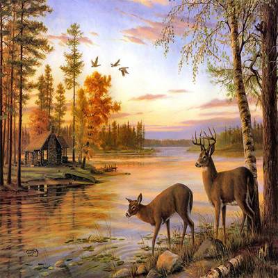 Norimpex - Puzzle Diamant painting: Deer in the lake 30x40cm - 1 - 39 piese