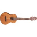 Takamine EGU-C1