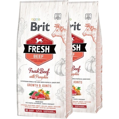 Fresh Beef with Pumpkin Puppy Large 2 x 12 кг