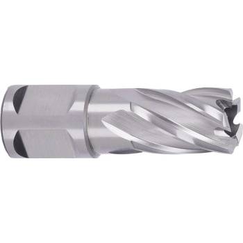 ABSE N-HS-W19-0170025