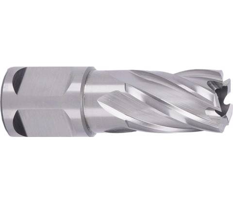 ABSE N-HS-W19-0170025