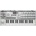 KORG microKORG CR Clear