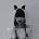 SYLVIAN, DAVID - SLEEPWALKERS CD