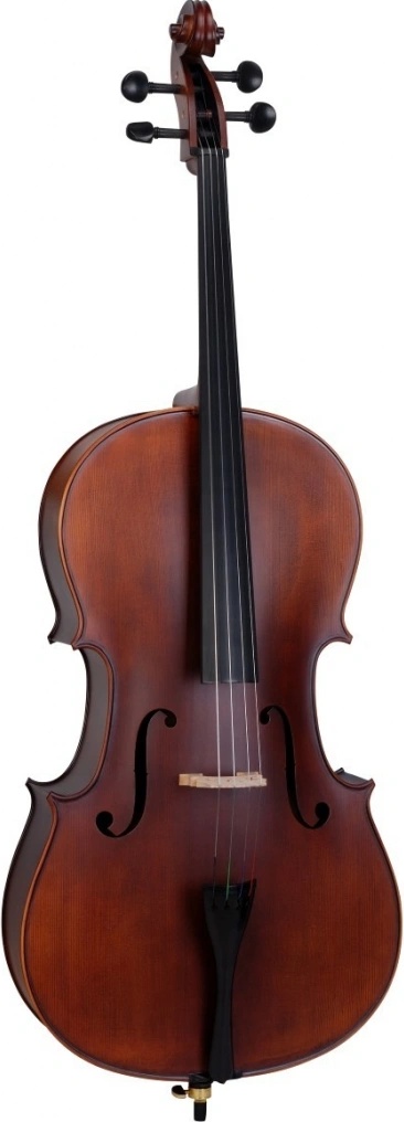 Soundsation VPCE-44